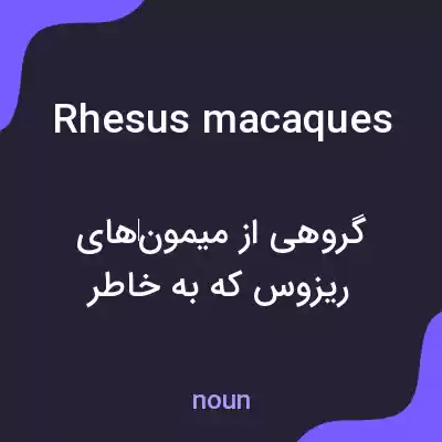 معنی rhesus macaques به فارسی معنی rhesus macaques به فارسی