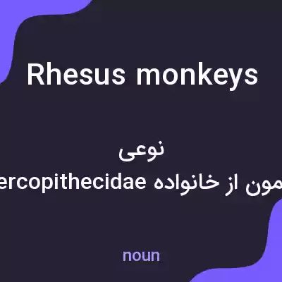 معنی rhesus monkeys به فارسی معنی rhesus monkeys به فارسی