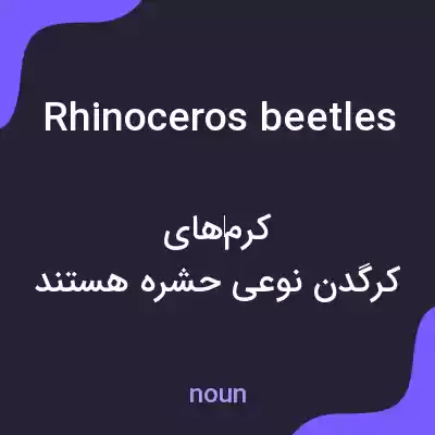 معنی rhinoceros beetles به فارسی معنی rhinoceros beetles به فارسی