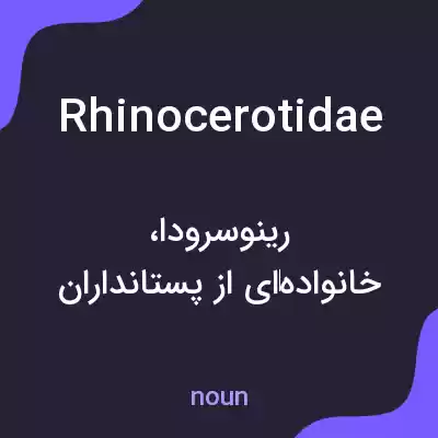 معنی rhinocerotidae به فارسی معنی rhinocerotidae به فارسی