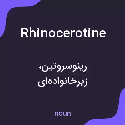 معنی rhinocerotine به فارسی معنی rhinocerotine به فارسی