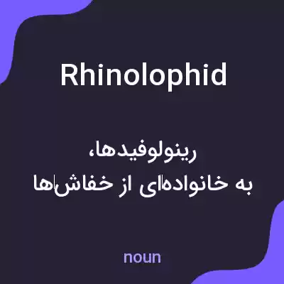 معنی rhinolophid به فارسی معنی rhinolophid به فارسی