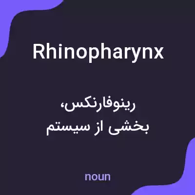 معنی rhinopharynx به فارسی معنی rhinopharynx به فارسی