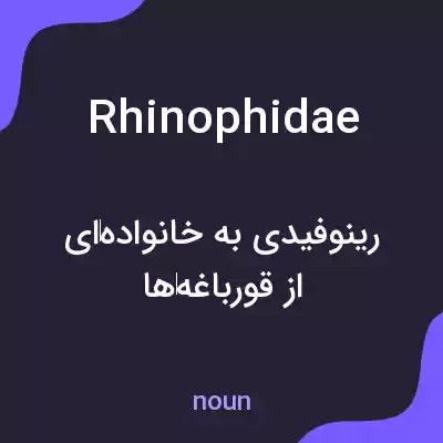 معنی rhinophidae به فارسی معنی rhinophidae به فارسی