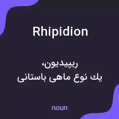معنی rhipidion به فارسی معنی rhipidion به فارسی