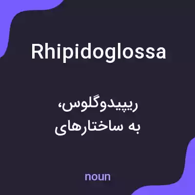 معنی rhipidoglossa به فارسی