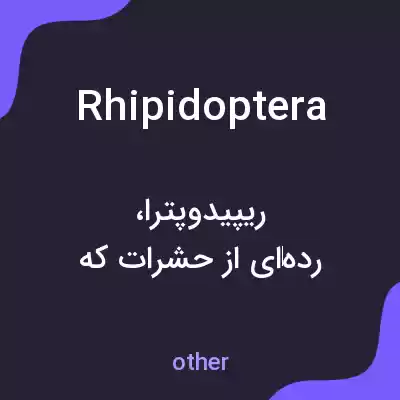 معنی rhipidoptera به فارسی معنی rhipidoptera به فارسی