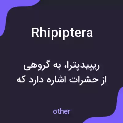 معنی rhipiptera به فارسی معنی rhipiptera به فارسی