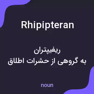 معنی rhipipteran به فارسی