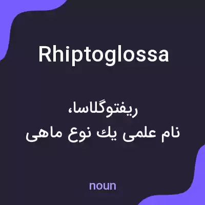 معنی rhiptoglossa به فارسی معنی rhiptoglossa به فارسی