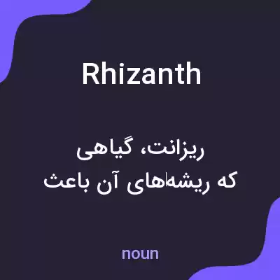 معنی rhizanth به فارسی معنی rhizanth به فارسی