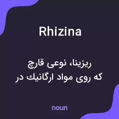 معنی rhizina به فارسی معنی rhizina به فارسی