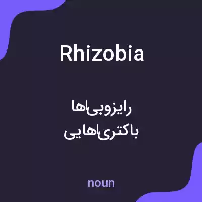 معنی rhizobia به فارسی معنی rhizobia به فارسی