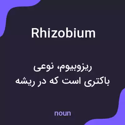 معنی rhizobium به فارسی معنی rhizobium به فارسی