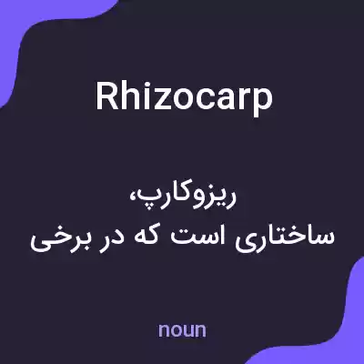 معنی rhizocarp به فارسی معنی rhizocarp به فارسی