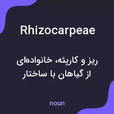 معنی rhizocarpeae به فارسی معنی rhizocarpeae به فارسی