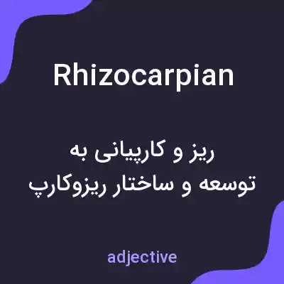 معنی rhizocarpian به فارسی معنی rhizocarpian به فارسی