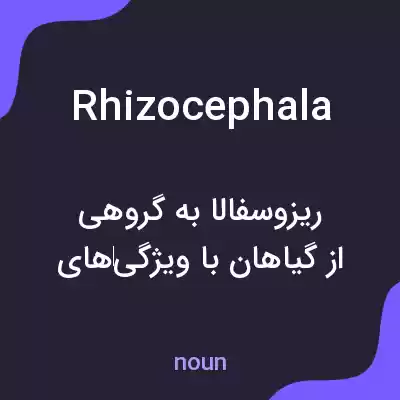 معنی rhizocephala به فارسی معنی rhizocephala به فارسی