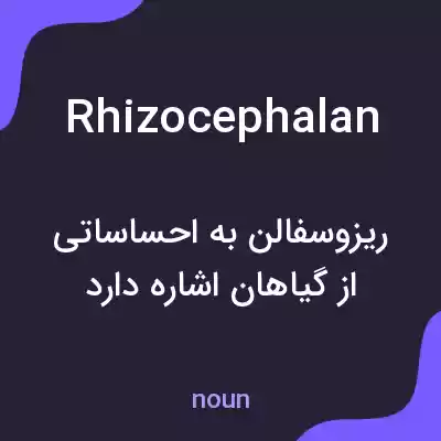 معنی rhizocephalan به فارسی معنی rhizocephalan به فارسی