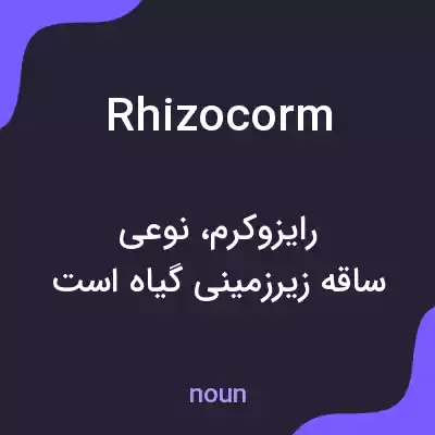 معنی rhizocorm به فارسی معنی rhizocorm به فارسی
