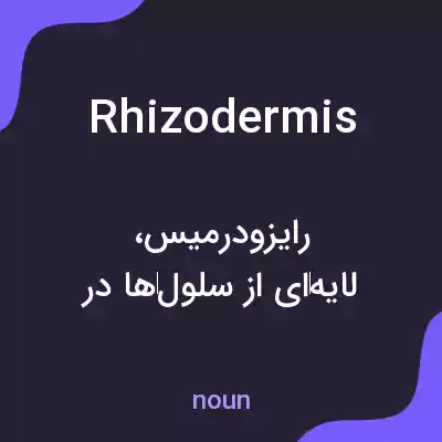 معنی rhizodermis به فارسی معنی rhizodermis به فارسی