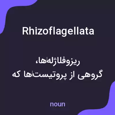 معنی rhizoflagellata به فارسی معنی rhizoflagellata به فارسی