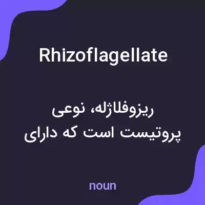 معنی rhizoflagellate به فارسی معنی rhizoflagellate به فارسی