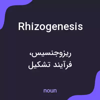 معنی rhizogenesis به فارسی معنی rhizogenesis به فارسی