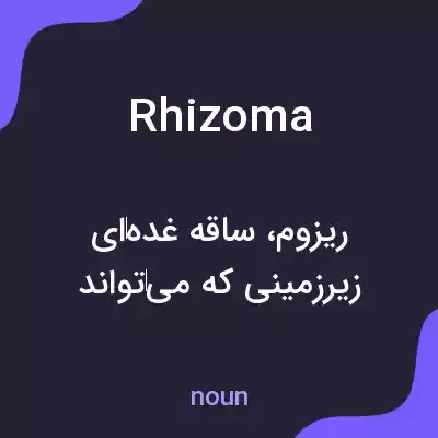 معنی rhizoma به فارسی معنی rhizoma به فارسی