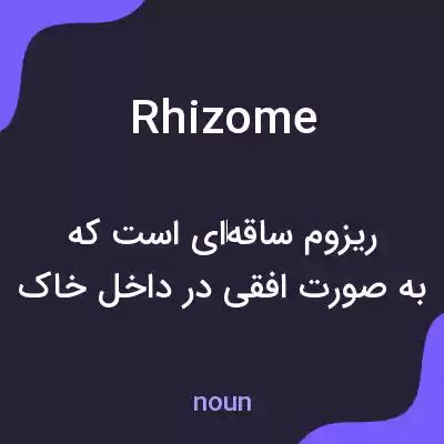 معنی rhizome به فارسی معنی rhizome به فارسی