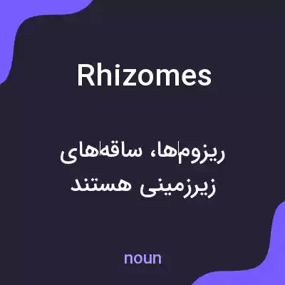 معنی rhizomes به فارسی