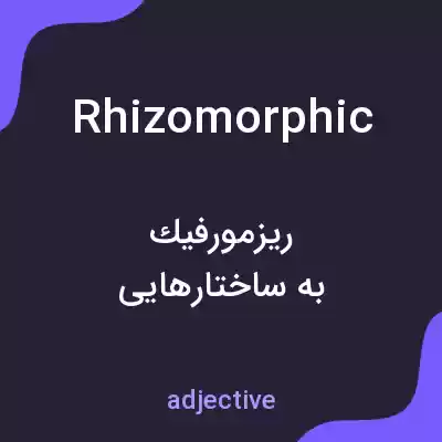 معنی rhizomorphic به فارسی معنی rhizomorphic به فارسی