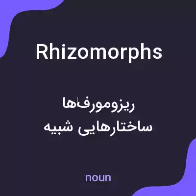 معنی rhizomorphs به فارسی معنی rhizomorphs به فارسی