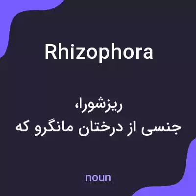 معنی rhizophora به فارسی معنی rhizophora به فارسی