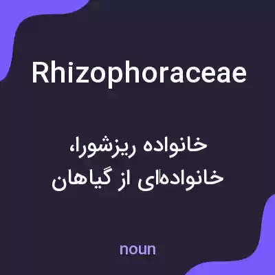 معنی rhizophoraceae به فارسی معنی rhizophoraceae به فارسی