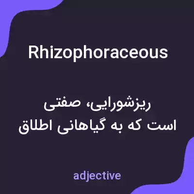 معنی rhizophoraceous به فارسی معنی rhizophoraceous به فارسی