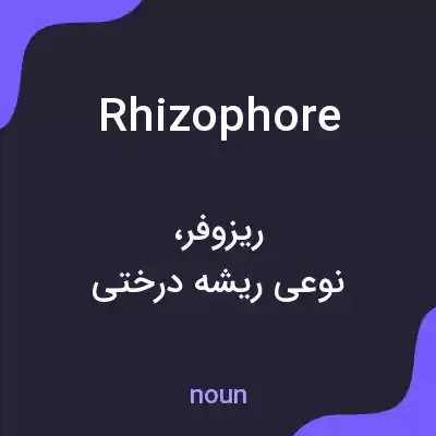 معنی rhizophore به فارسی معنی rhizophore به فارسی