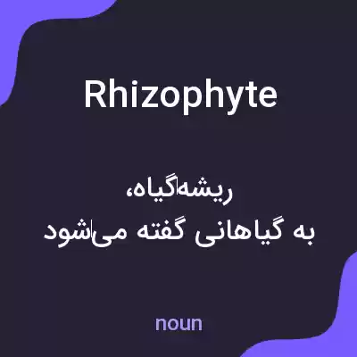 معنی rhizophyte به فارسی معنی rhizophyte به فارسی
