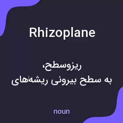 معنی rhizoplane به فارسی معنی rhizoplane به فارسی