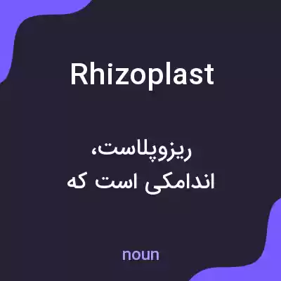 معنی rhizoplast به فارسی معنی rhizoplast به فارسی