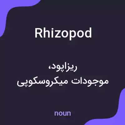 معنی rhizopod به فارسی معنی rhizopod به فارسی
