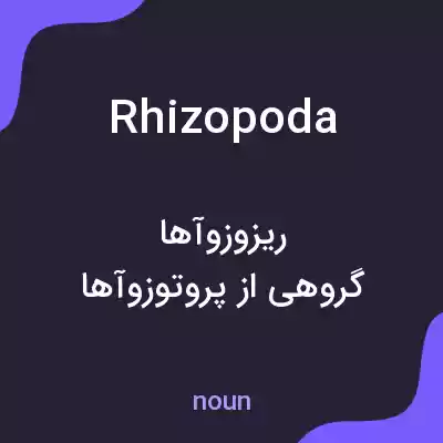 معنی rhizopoda به فارسی معنی rhizopoda به فارسی
