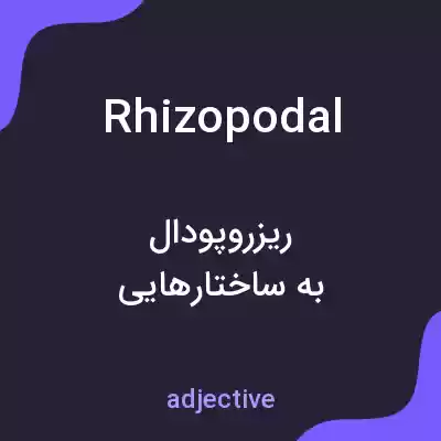 معنی rhizopodal به فارسی معنی rhizopodal به فارسی