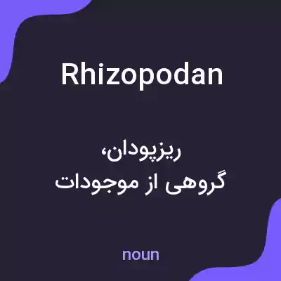 معنی rhizopodan به فارسی معنی rhizopodan به فارسی