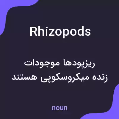 معنی rhizopods به فارسی معنی rhizopods به فارسی