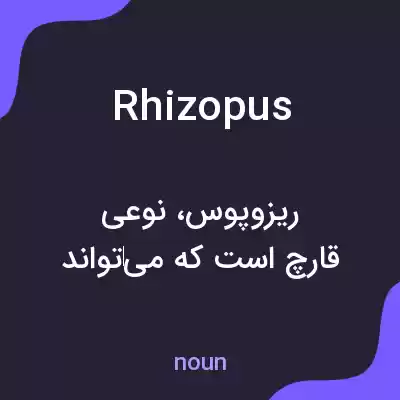 معنی rhizopus به فارسی معنی rhizopus به فارسی