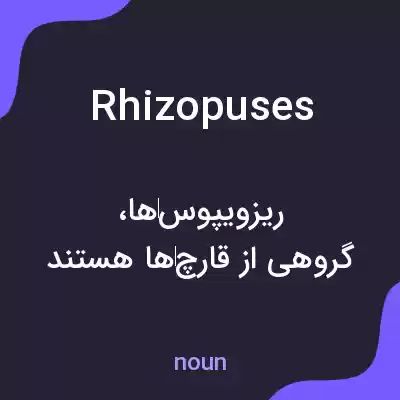 معنی rhizopuses به فارسی معنی rhizopuses به فارسی