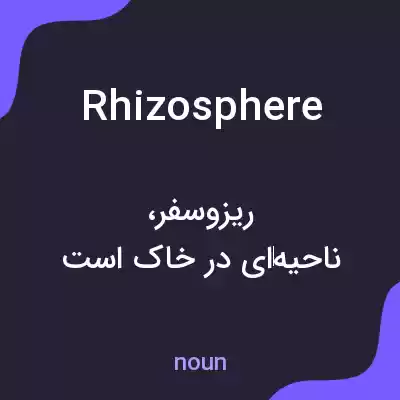 معنی rhizosphere به فارسی معنی rhizosphere به فارسی