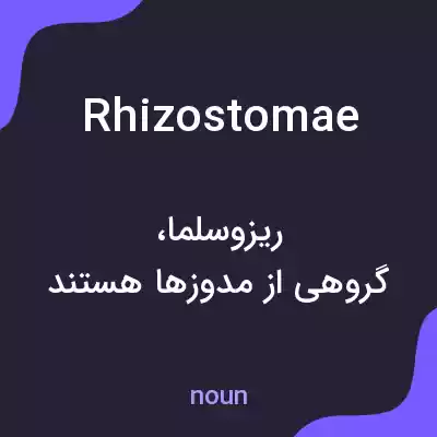 معنی rhizostomae به فارسی معنی rhizostomae به فارسی