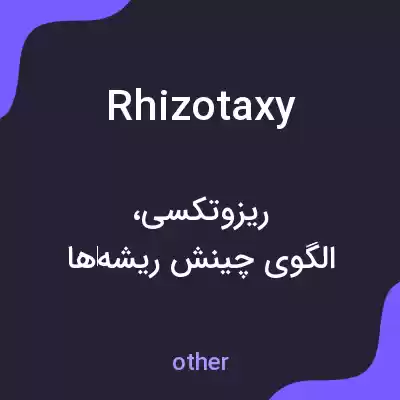 معنی rhizotaxy به فارسی معنی rhizotaxy به فارسی